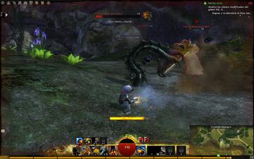 Captura de pantalla - Guild Wars 2 (PC)