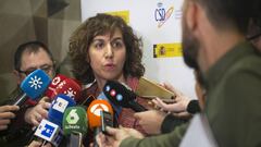 La secretaria de Estado para el Deporte, Irene Lozano, atiende a los medios tras la presentaci&oacute;n de la primera bandera verde del deporte espa&ntilde;ol en el Consejo Superior de Deportes.
 