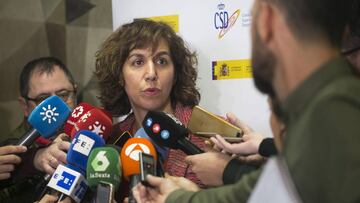 La secretaria de Estado para el Deporte, Irene Lozano, atiende a los medios tras la presentación de la primera bandera verde del deporte español en el Consejo Superior de Deportes.