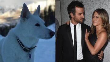 La pareja que se divorció el año pasado se volvió a reunir por un triste motivo; la muerte de su perrita, Dolly, por lo que se juntaron para despedirla.