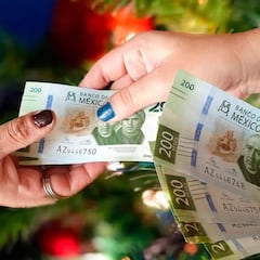 Quiénes recibirán su aguinaldo por adelantado para aprovechar El Buen Fin este 2025