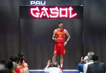 Pau Gasol.