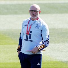 De la Fuente llamó a Del Bosque