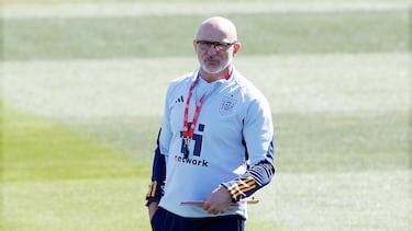 De la Fuente llamó a Del Bosque