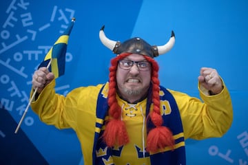 A fan at the ice hockey.