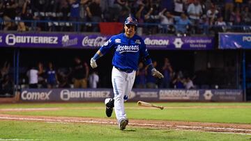 Acereros de Monclova, Liga Mexicana de B&eacute;isbol