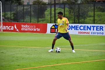 La Selección Colombia trabaja en la Sede de la Federación Colombiana de Fútbol en Bogotá con el grupo casi completo. Fabra, Borja, Mateus, Lerma y compañía se alistan para el partido de despedida, el viaje a Italia y el Mundial.