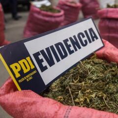 Bang de Fujian, la banda narco china que está en Chile: quiénes son y cómo operan