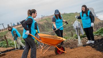 Cervecería AB InBev anuncia proyecto ecológico en Punta de Lobos por los 100 años de Corona