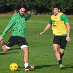 Grenier vuelve a lesionarse