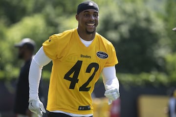 Los cinco enfrentamientos a observar en el Panthers-Steelers