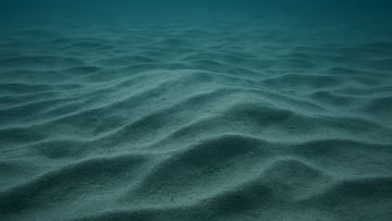 Seabed