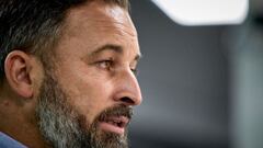 ¿Cuáles son los negocios que quiere hacer el partido político VOX en el país?