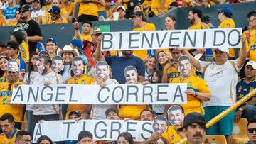 Mauricio Culebro deja entrever que no habrá más fichajes en Tigres
