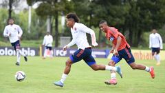 Selección Colombia Sub 20 avanza en el microciclo pensando en el Torneo de Toulon.