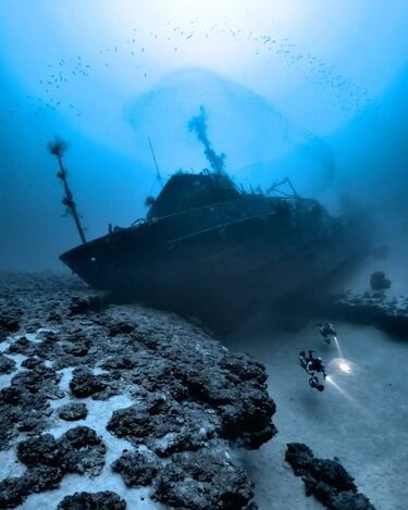 Desde ballenas jorobadas hasta barcos hundidos: Las imágenes ganadoras del Underwater Photographer of the Year 2025 