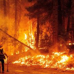 Dixie Fire se convierte en el segundo incendio forestal más grande de California