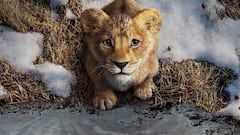Primer tráiler de ‘Mufasa: El Rey León’, la precuela que descubre el origen de la leyenda