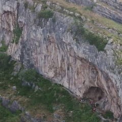 Las avispas asiáticas provocan un shock a una escaladora de 35 años en Cantabria