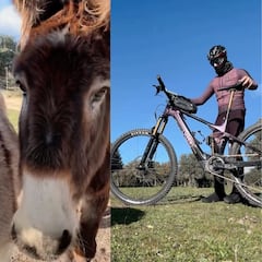 David Bisbal vuelve a coger la bici y le canta a un burro