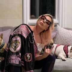 Roban a tiros dos perros de Lady Gaga: ofrece 500.000 dólares como recompensa