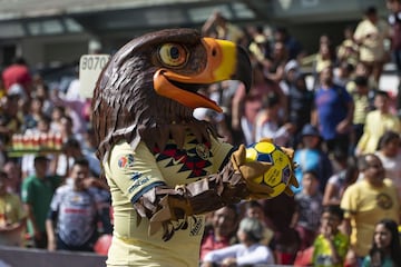 Representante del club más ganador del fútbol mexicano, Agui vive en el nido más grande de México, en el Estadio Azteca y es la mascota oficial del América.
