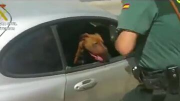 El dramático rescate de un perro encerrado en un coche recuerda el peligro de las altas temperaturas