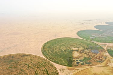 Parcelas circulares de riego verde para la agricultura en el desierto. Dubái, Emiratos Árabes Unidos.