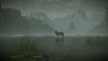 Captura de pantalla - Shadow of the Colossus (PS4)