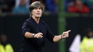 Löw.