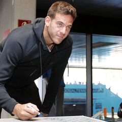 Del Potro: "Piensan que resurgir otra vez es fácil, y no es así"