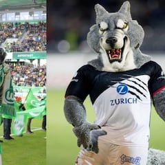 Lobos mexicanos y alemanes, apuestan por su Selección