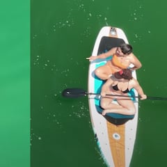 Hay playas donde los surfistas se bañan con tiburones el 97% de las veces