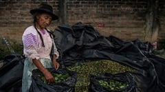 Bono Familiar, Yanapay y 600 soles | Link y cómo ver con cuenta DNI quién puede cobrarlo, 24 de septiembre