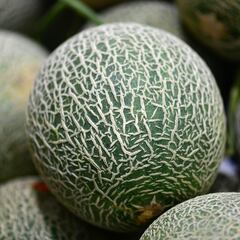 Europa pide retirar un lote de melones de España por residuos de pesticidas