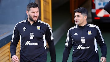 Nicolás Ibáñez: “Gignac hay uno y nada más”