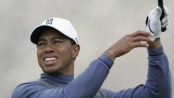 <b>DECEPCIÓN</b>. El indiscutible número uno del mundo sacó a relucir su lado humano frente al australiano Nick O'Hern.