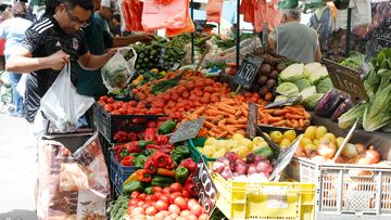 Bolsillo Familiar Electrónico: revisa los 79 alimentos que puedes comprar con el beneficio desde hoy