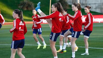 La Roja despide en Las Rozas su gran camino a la Euro