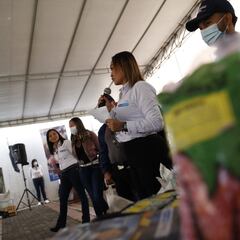 Ingreso Solidario y Bono 500 mil pesos | Quién lo cobra, montos y fechas de pago | Noticias del 8 de enero