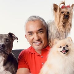 ¿Qué fue de César Millan, 'El encantador de perros'?