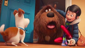 Mascotas, el mejor estreno de una película original en la historia de Estados Unidos.