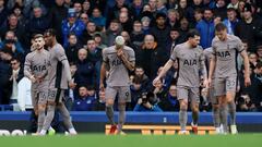 Los jugadores del Tottenham celebran el gol anotado por Richarlison ante el Everton.