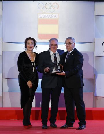 La nadadora Mireia Belmonte, el piragüista Saul Craviotto y la karateca Sandra Sánchez, entre otros muchos deportistas españoles, han sido premiados en la gala anual organizada por el Comité Olímpico Español, que reconoce los éxitos más notables de esta temporada.