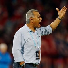 Hernán Torres deja de ser el director técnico de Deportes Tolima