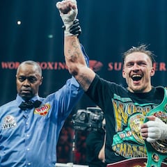 Usyk, lesionado en un codo: se aplaza su combate ante Gassiev