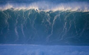 Aunque el rescato más sonado fue el de Damien, la foto representa a la perfección que no fue el peor parado. Tuvo una contusión brutal, pero los hubo otros con heridas en los ojos, orejas colgando, agua en los pulmones, dedos rotos, etc. ¡Qué locura!