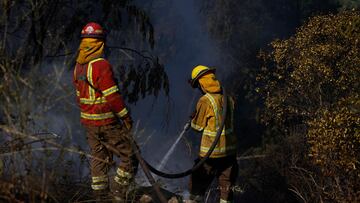 Alerta roja en Viña del Mar: medidas por el incendio y quién fue evacuado