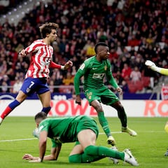 Maldición franjiverde en territorio atlético