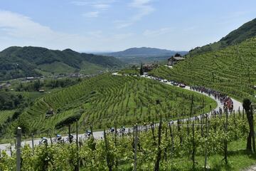 El ciclista bogotano se impuso en el decimonoveno día de carrera entre Treviso y San Martino di Castrozza. Miguel Ángel López descontó tiempo y Carapaz sigue líder.